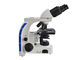 o fotomicroscópio binocular de microscópio biológico do laboratório 100X com o diodo emissor de luz 3W ilumina-se fornecedor