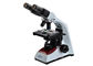 Microscópio binocular eletrônico do sistema ótico de Finity com lâmpada do halogênio fornecedor