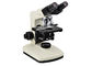 Sistema ótico profissional acromático de Finity do microscópio biológico do laboratório do diodo emissor de luz fornecedor