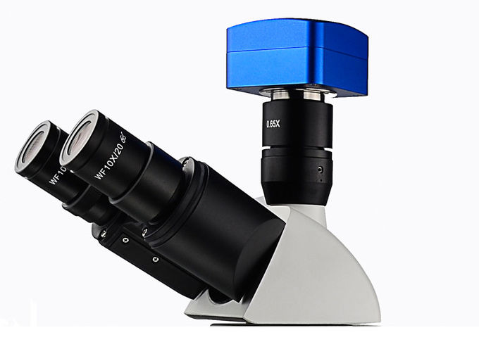 Microscópio metalúrgico ótico profissional UM203i com fonte luminosa de 12V 50W