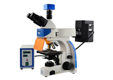 China Lâmpada ereta profissional de microscópio de fluorescência 100W de Trinocular Mercury fornecedor