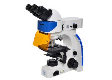 China Microscópio de fluorescência ereto de UOP, microscopia de fluorescência de alta resolução fornecedor