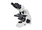 preto branco da ampliação do microscópio biológico 40-1000X do laboratório de 6V 20W fornecedor