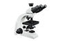 Microscópio biológico do laboratório de Trinocular/microscópio ótico do laboratório fornecedor