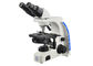 O microscópio o mais alto da ampliação do microscópio binocular profissional de Uop fornecedor