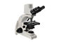da câmara digital ótica do microscópio 5MP de 1000X Digitas microscópio biológico de Digitas fornecedor