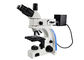 Microscópio ótico do microscópio metalúrgico 50-800X UOP de luz transmitida fornecedor