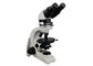 Microscópio metalúrgico 4X 10X 40X 60X de Trinocular para o treinamento do asbesto fornecedor