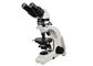 Microscópio binocular da educação UOP polarizado da fotomicroscopia de UP102i fornecedor