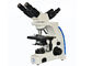 Uso da educação escolar do microscópio 10x 40x 100x da visão de UOP204i multi fornecedor