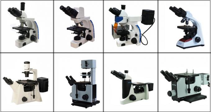 Lâmpada ereta profissional de microscópio de fluorescência 100W de Trinocular Mercury