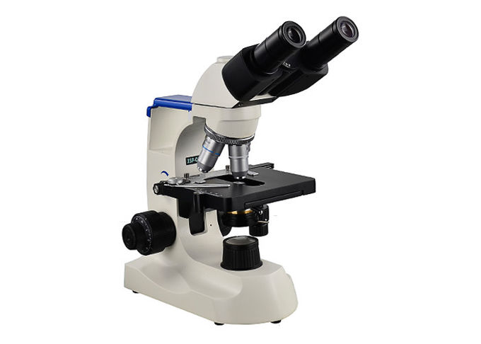 microscópio biológico do laboratório dos binóculos 100X para a escola primária