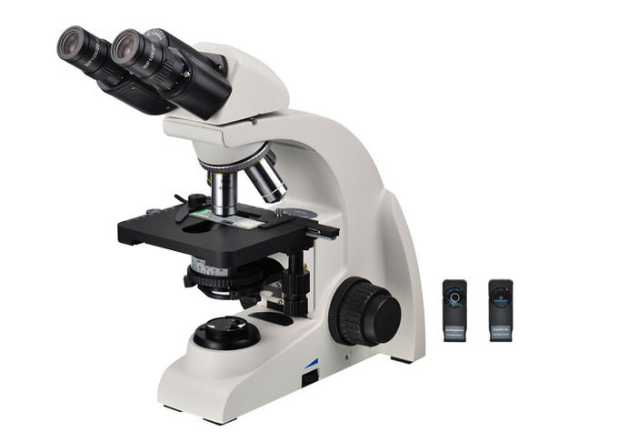 Microscópio ereto 10x 40x 100x do microscópio binocular do contraste da fase
