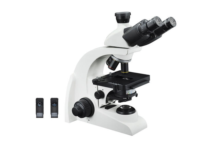 Fotomicroscópio 40X do contraste biológico da fase - ampliação 1000X