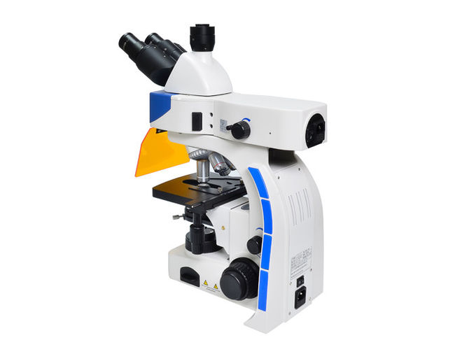 Microscópio de fluorescência ereto do diodo emissor de luz Trinocular com B & filtro da fluorescência de G