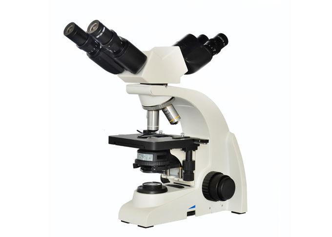Microscópio ótico da ampliação 100x para o ensino da educação escolar