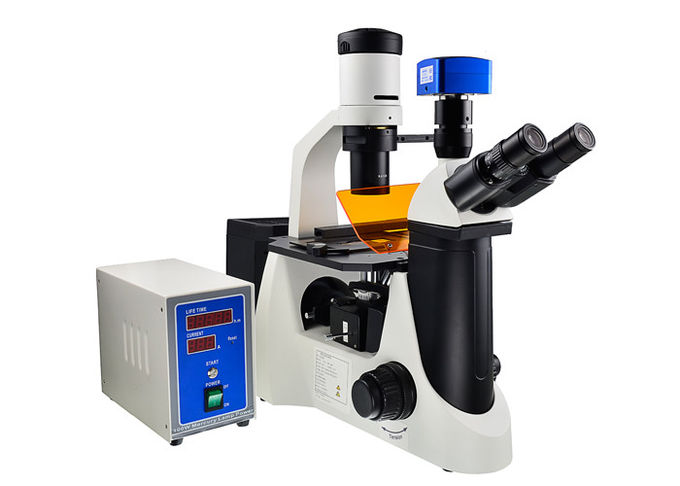 Microscópio de fluorescência invertido UOP do contraste da fase com o filtro de B G
