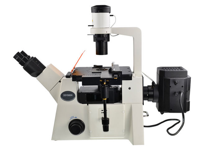 Microscópio ereto e invertido do filtro ótico invertido DSY5000X do microscópio B/G/V/UV